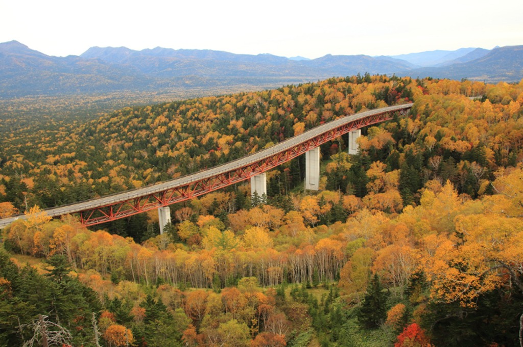 Đảo Hokkaido