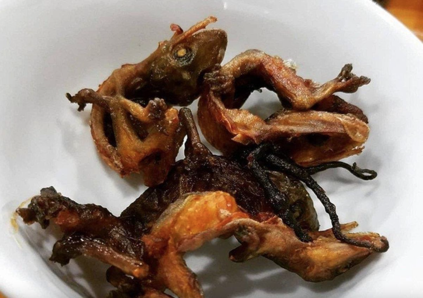 Săn bắt thằn lằn núi Bà Đen