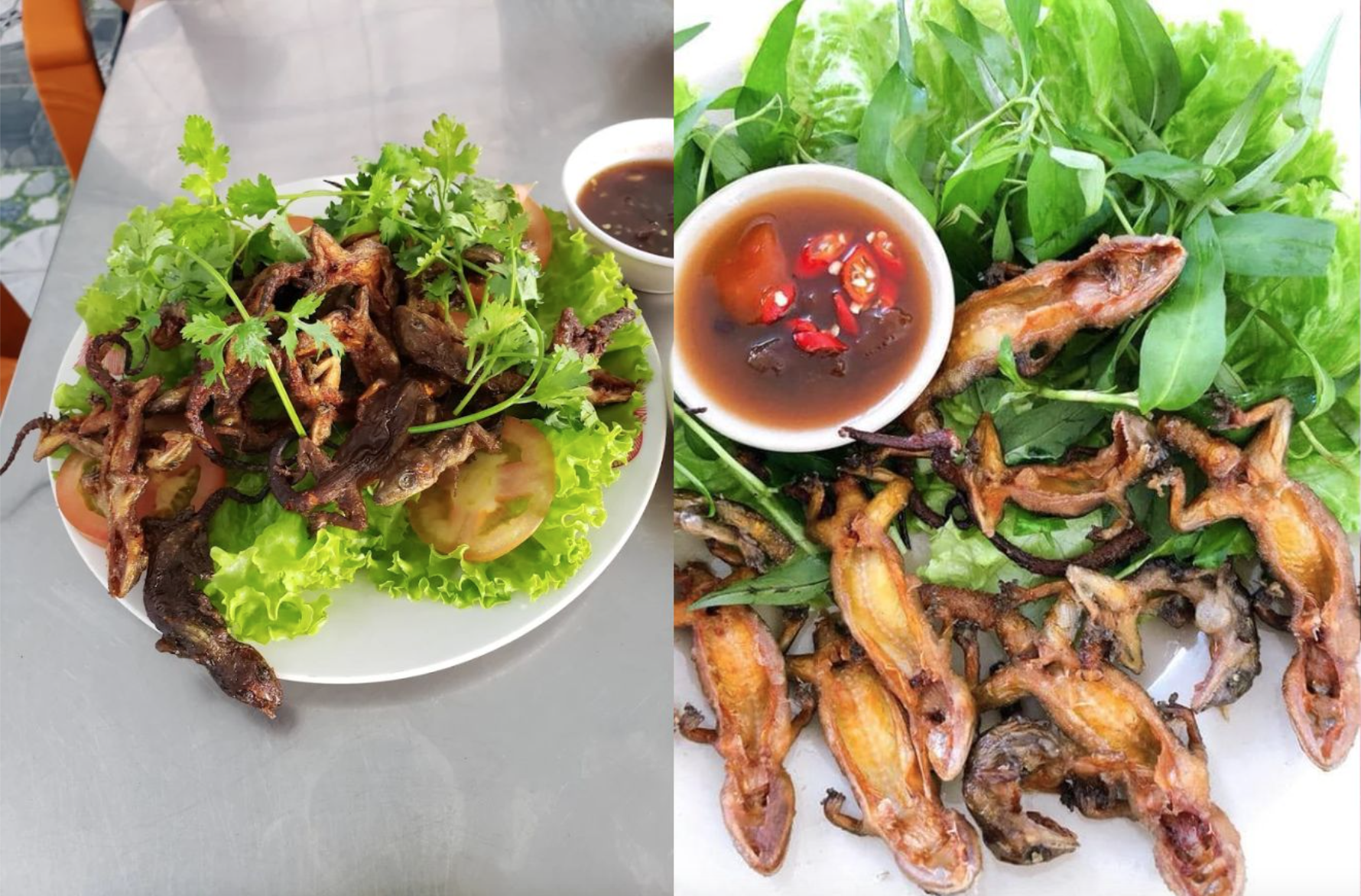 Thằn lằn núi chiên giòn