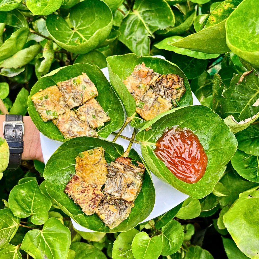 Lá đinh lăng đựng đồ ăn Lá đinh lăng đựng đồ ăn