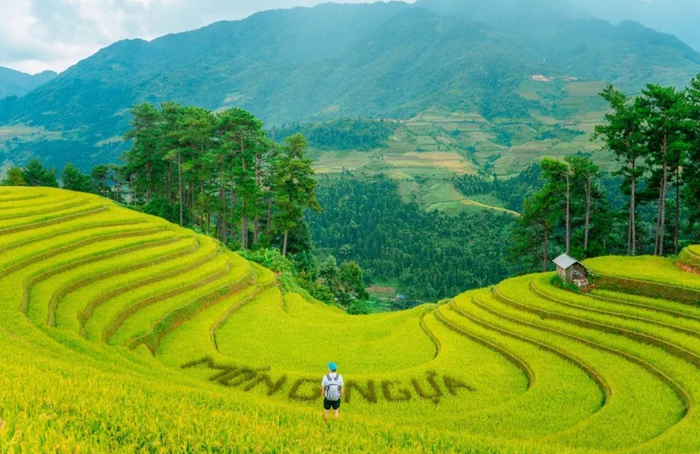 Đồi Móng Ngựa – Vẻ đẹp mềm mại giữa núi rừng Tây Bắc. (Nguồn: @phung_uit)