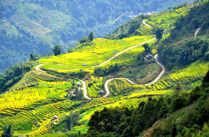 Đèo Khau Phạ – “Sừng Trời” trong Tứ đại đỉnh đèo. (Nguồn: sinhtour) 
