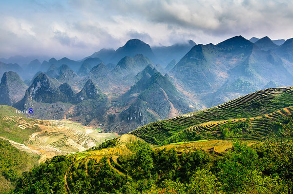 Lạc bước giữa Cao nguyên đá Đồng Văn, nơi đá cũng biết kể chuyện Ảnh 3