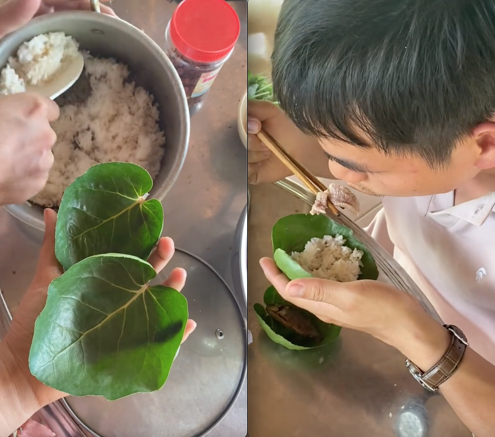 Cả nhà cùng ăn cơm bằng lá đinh lăng Cả nhà cùng ăn cơm bằng lá đinh lăng