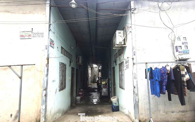 3-17615402316331085586987 Chuyện lạ đời:
