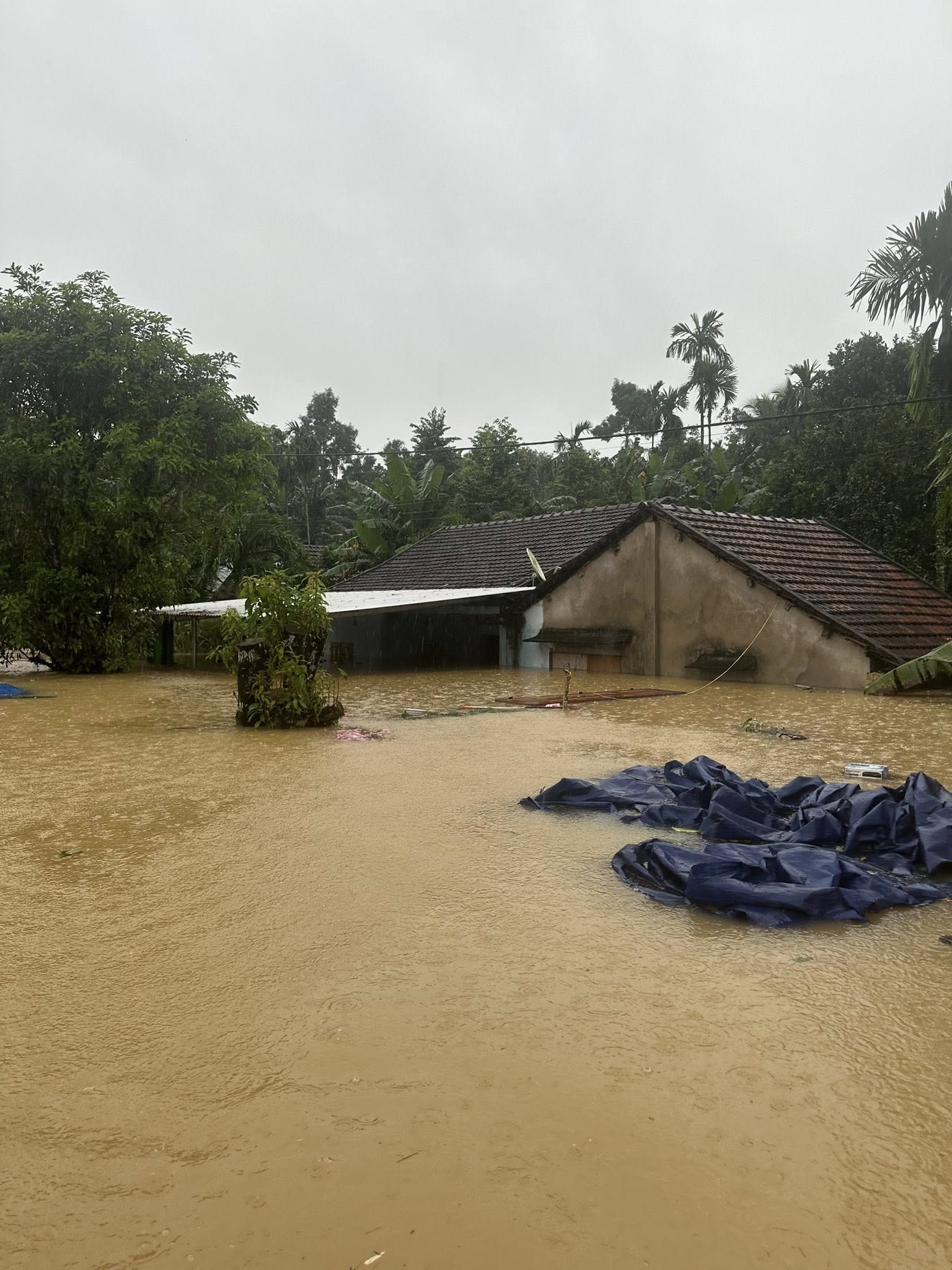 Người dân Đà Nẵng chống lũ