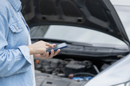 anh-man-hinh-2025-10-31-luc-093646-1362