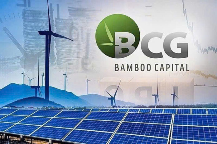 BCG và TCD bị đình chỉ giao dịch: Giải mã nguyên nhân và lộ trình phục hồi