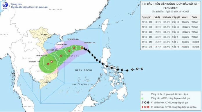 Ứng phó khẩn cấp bão số 12: Hướng dẫn chi tiết từ chuyên gia