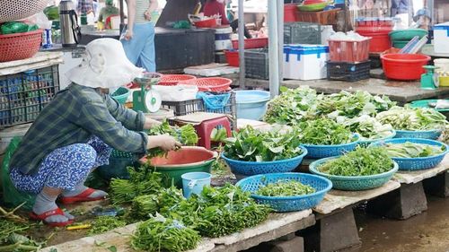 Tiểu thương nhặt sạch rau trước khi bày bán.