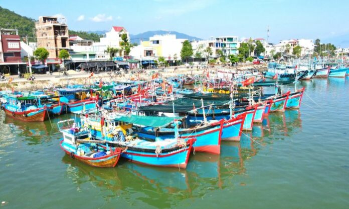 Khánh Hòa Ra Lệnh Cấm Biển Khẩn Cấp Ứng Phó Bão Số 15