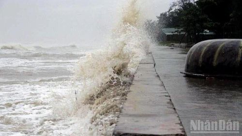 Miền Trung Chống Áp Thấp Nhiệt Đới: Cập Nhật Khẩn Cấp!