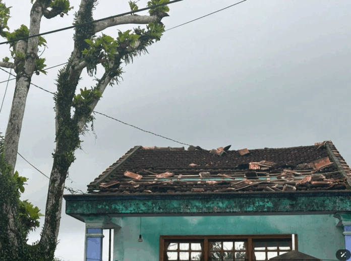 Lốc Xoáy Kinh Hoàng Càn Quét Đà Nẵng: Thiệt Hại và Ứng Phó