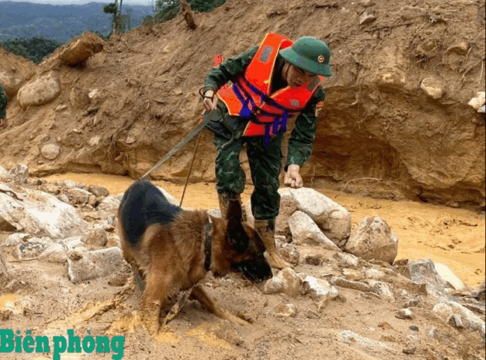 Cập Nhật Mới Nhất: Tìm Kiếm Nạn Nhân Sạt Lở Đà Nẵng