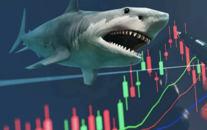 Phân Tích Thị Trường Chứng Khoán Hôm Nay: Ai Mua, Ai Bán?