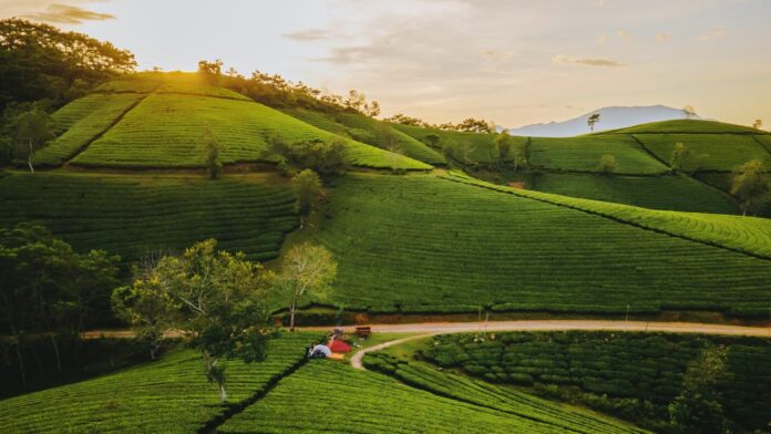 Long Cốc Phú Thọ: Chốn Bồng Lai Tiên Cảnh Giữa Lòng Đất Tổ
