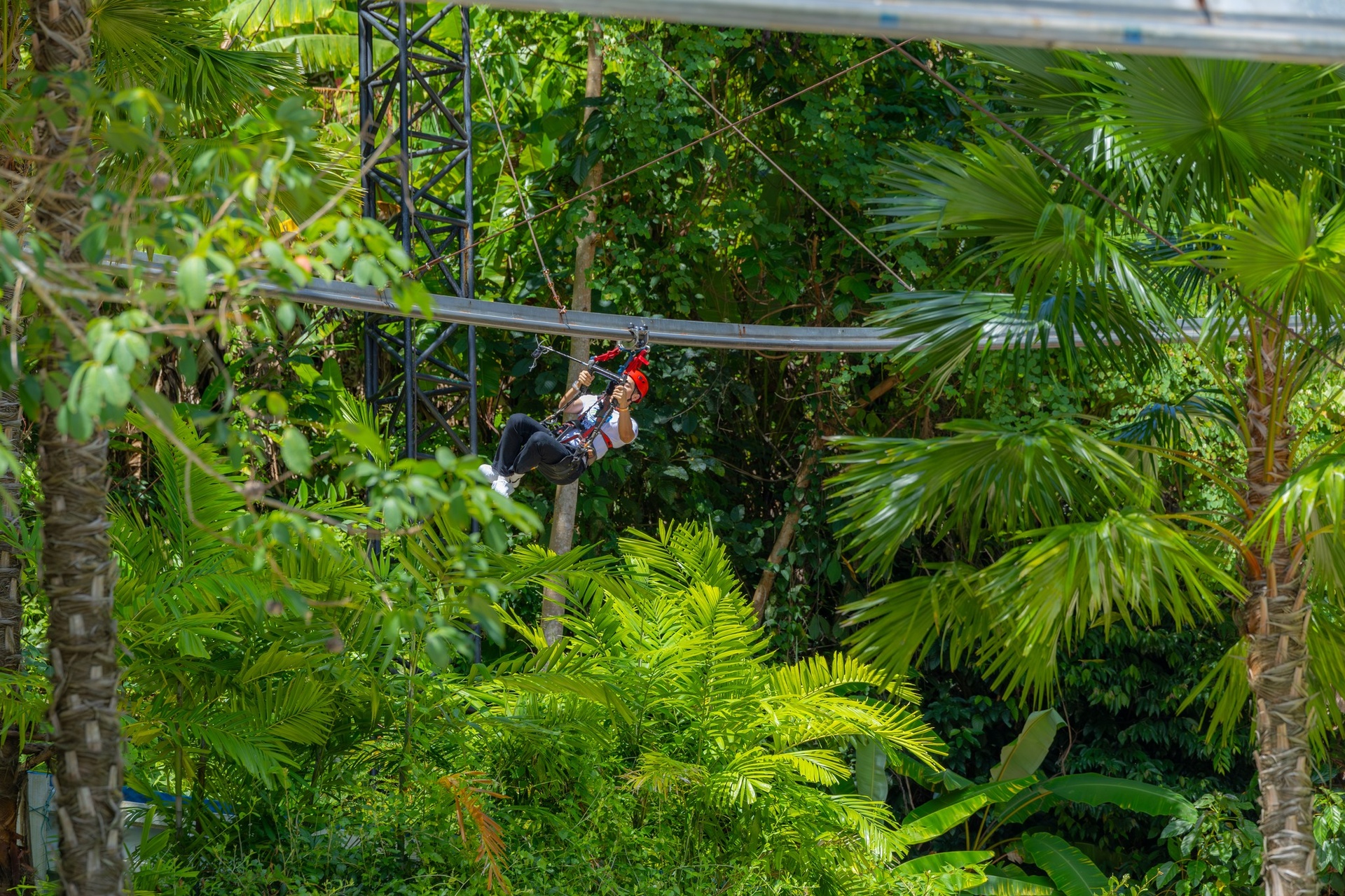 Miss Universe Huong Giang anh 12