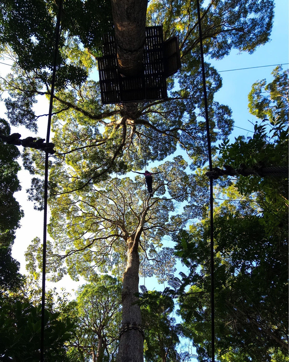 Miss Universe Huong Giang anh 4