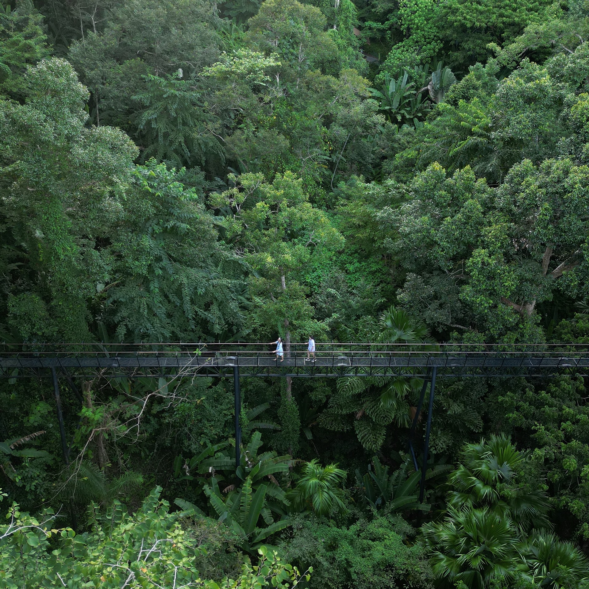 Miss Universe Huong Giang anh 6