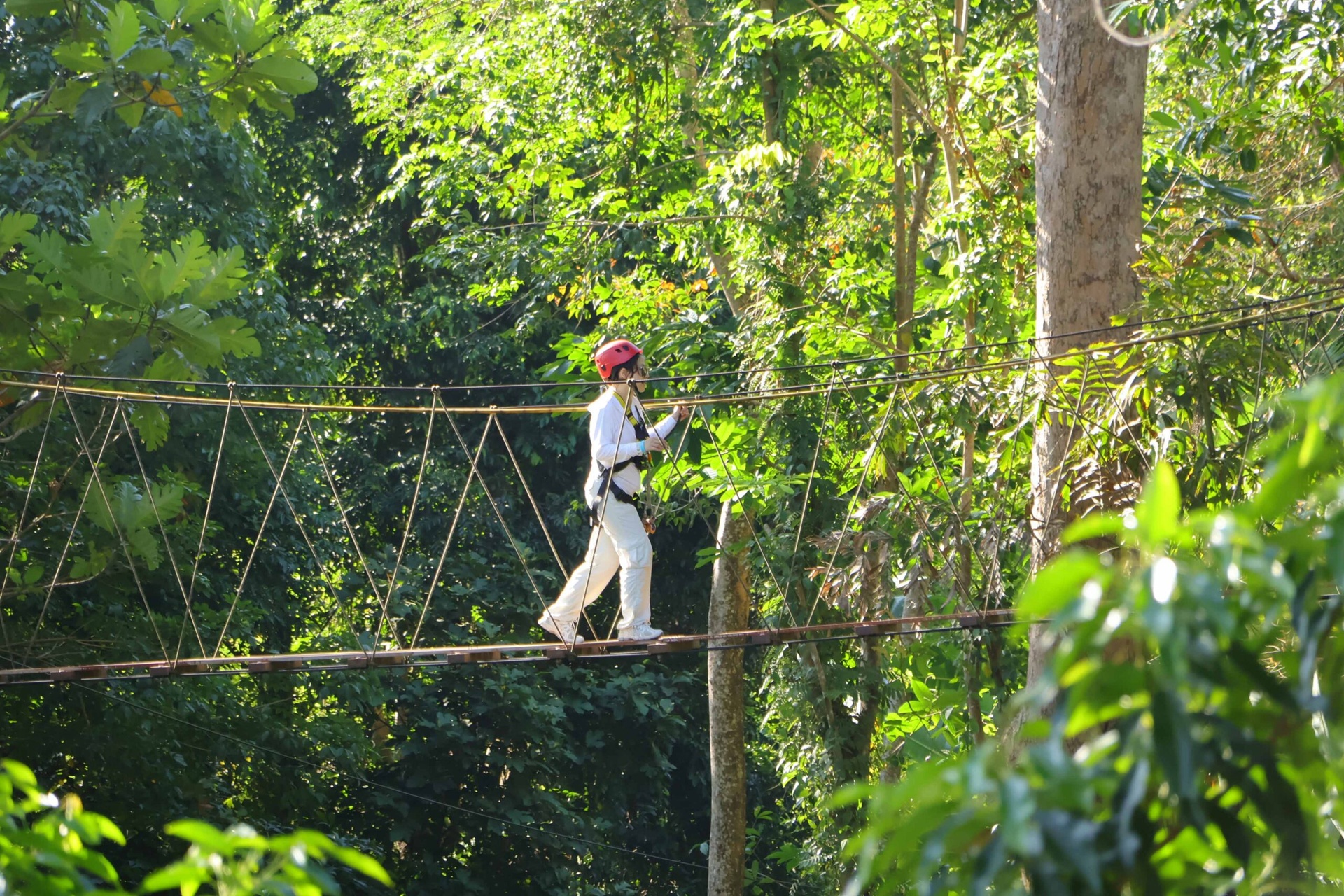 Miss Universe Huong Giang anh 10