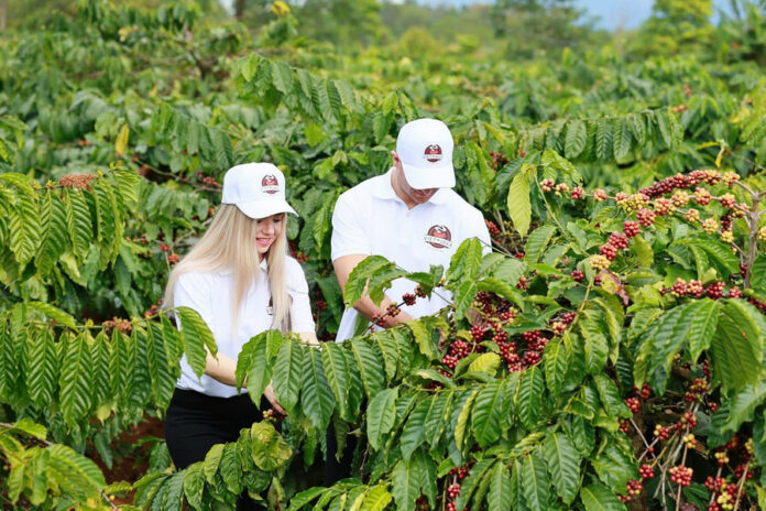 Gia Lai Mùa Du Lịch: Khám Phá Vẻ Đẹp Cao Nguyên