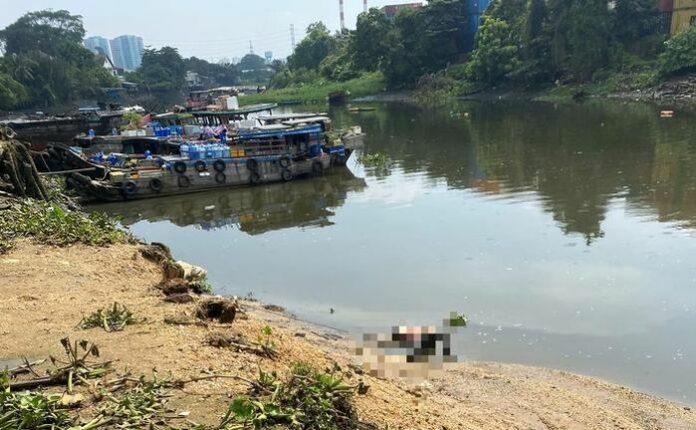 Vụ Phát Hiện Thi Thể Trên Sông Sài Gòn