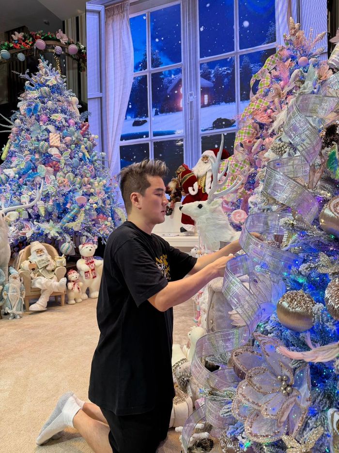 Khu vườn xanh mát trong khuôn viên biệt thự