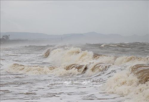 Bão Số 15 Suy Yếu: Cập Nhật Mới Nhất