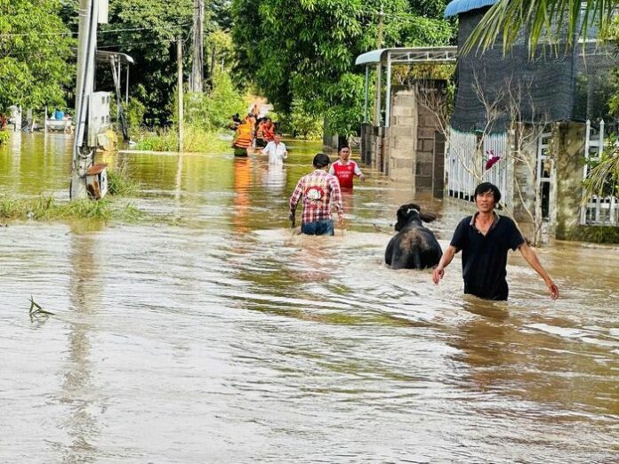 Lâm Đồng gồng mình sau trận mưa lũ lịch sử