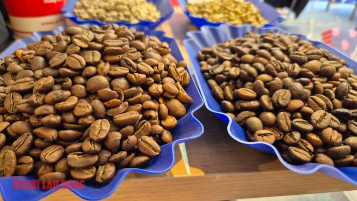 Giá Cà Phê Hôm Nay (20/12/2025): Phân Tích Biến Động Và Dự Báo Thị Trường