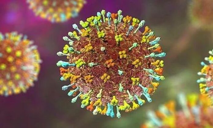 Virus Nipah: Hiểu rõ để phòng tránh, không hoang mang