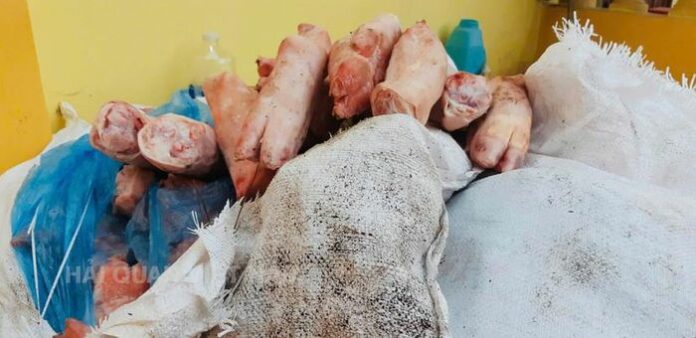 Ngăn Chặn 1 Tấn Chân Lợn Thối: Cảnh Báo Về An Toàn Thực Phẩm!