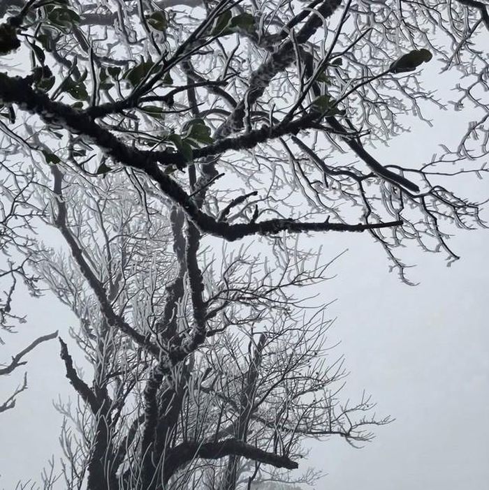 Càng về trưa, chiều băng giá càng nhiều.