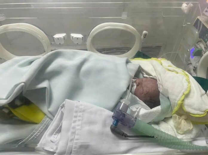 Phép Màu Từ Trái Tim: Cứu Sống Bé Sơ Sinh Bị Bỏ Rơi Ở Thanh Hóa