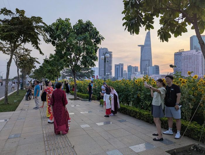  Những ngày đầu năm 2026 rất đông bạn trẻ đến Công viên bờ sông Sài Gòn để check-in cùng hoa hướng dương. 