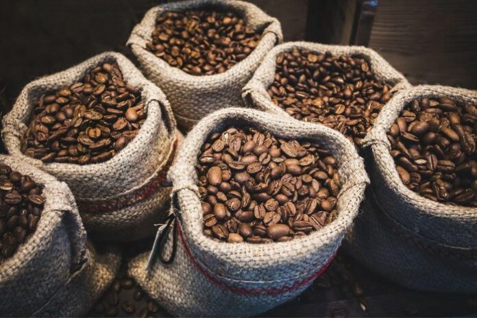Giá Cà Phê Hôm Nay 22/1/2026: Robusta Vượt Mốc, Arabica Đi Ngang?