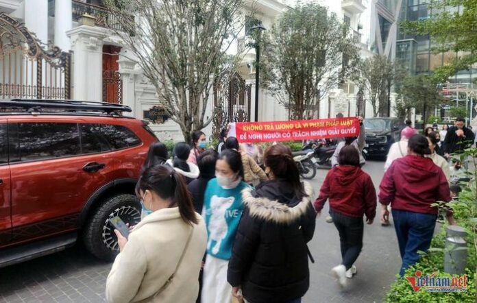 Vụ Hoàng Hường: Người Lao Động Điêu Đứng Vì Nợ Lương