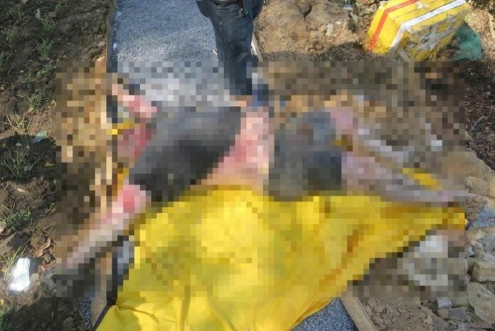 Phát Hiện Thi Thể Nam Giới Ven Sông Giồng Ông Tố: Điều Tra Khẩn Cấp