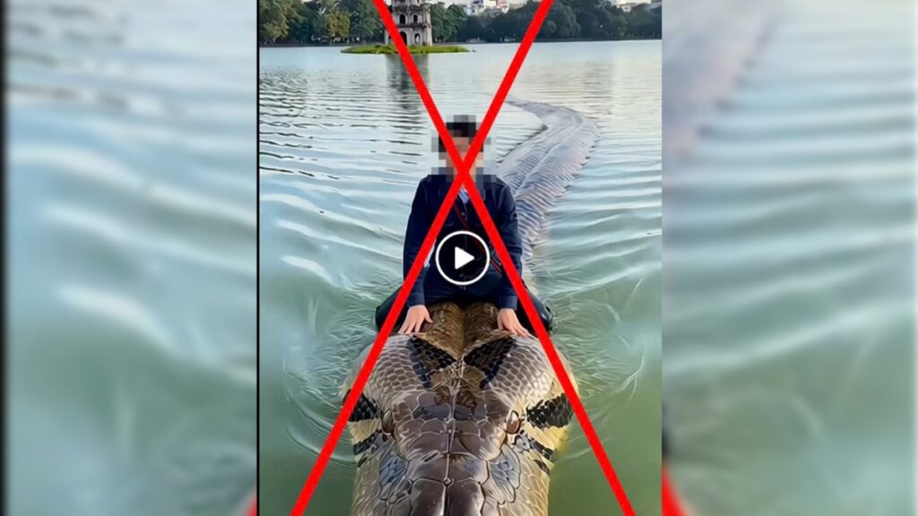 video AI sai sự thật