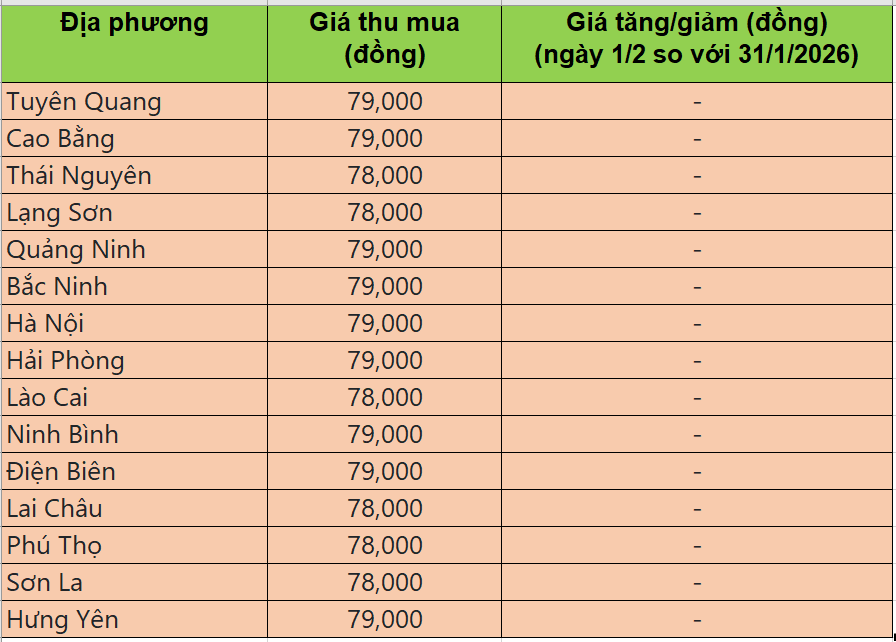 Bảng giá heo hơi tại miền Bắc hôm nay 1/2/2026