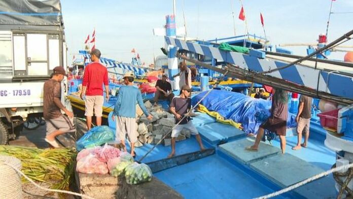 Lâm Đồng Vươn Khơi Đầu Năm: Kỳ Vọng Mùa Biển Bội Thu
