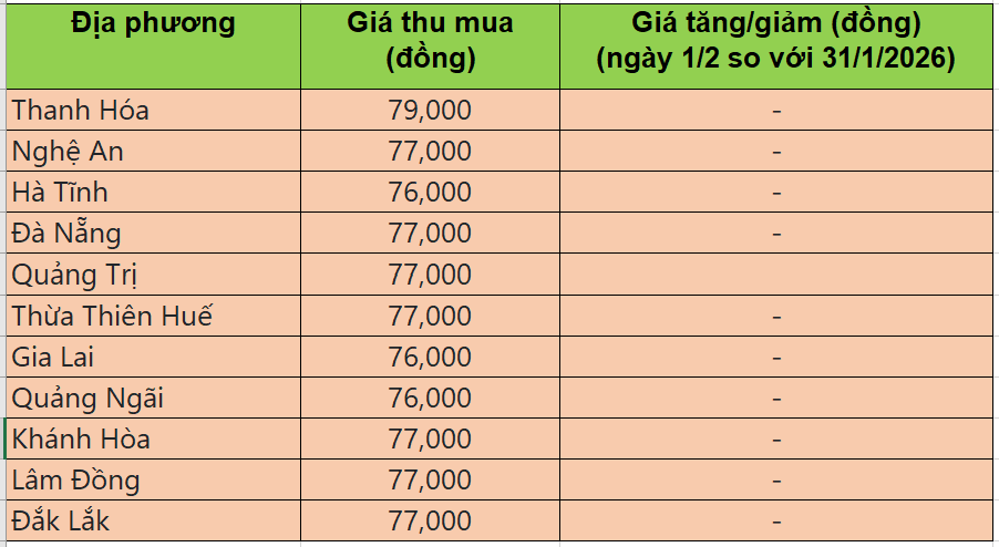 Bảng giá heo hơi tại miền Trung - Tây Nguyên hôm nay 1/2/2026