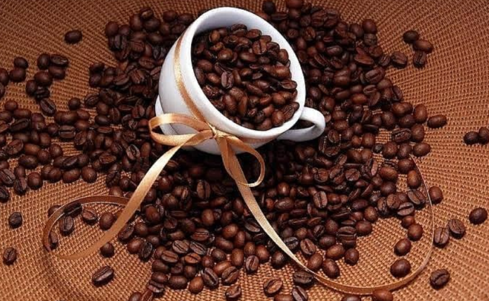 Giá cà phê hôm nay 15/2/2026 tăng mạnh sát Tết