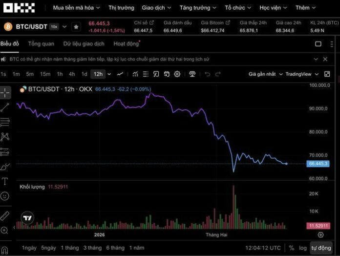 Giá coin Rung Chuyển 19/2/2026: Phản Ứng Của Thị Trường Tiền Số Trước Tín Hiệu Kinh Tế Vĩ Mô