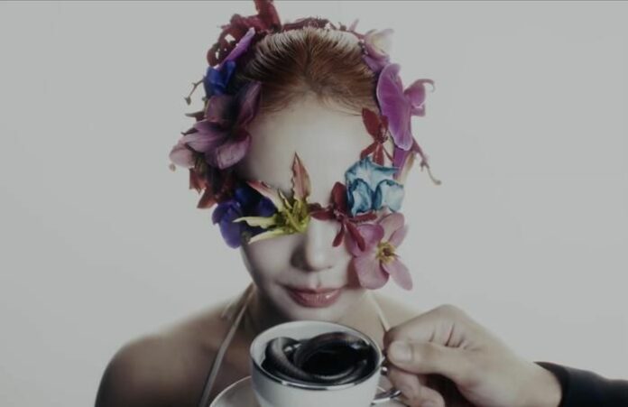 Minh Hằng Tái Xuất: 