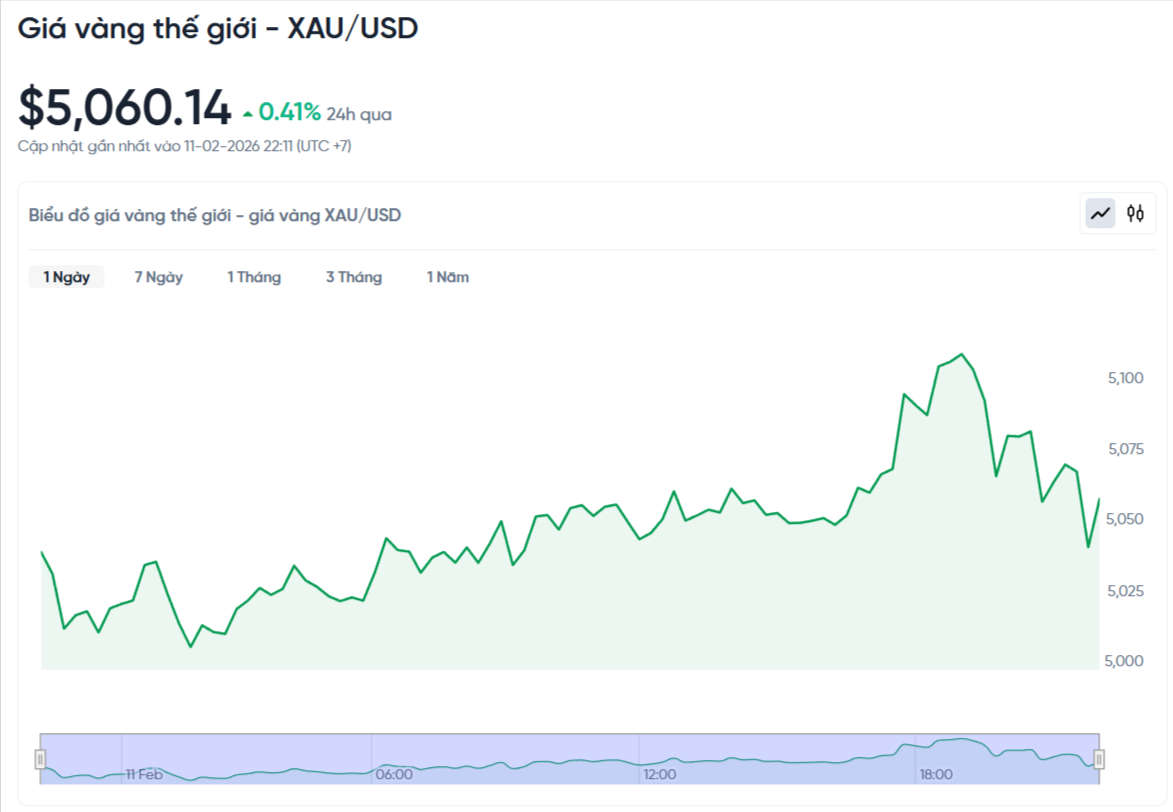 gia-vang-the-gioi-hom-nay-bieu-do-gia-vang-xauusd-kitco-24-7-02-11-2026_10_12_pm.png