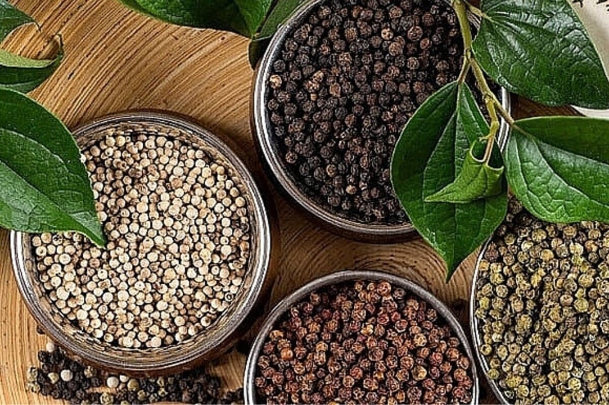 Giá nông sản 15/3/2026: Cơ hội và thách thức cho người nông dân