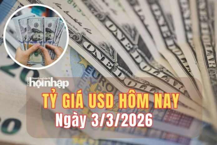 Giá Ngoại Tệ USD Hôm Nay 3/3/2026: Phân Tích Chuyên Sâu Và Dự Báo Xu Hướng