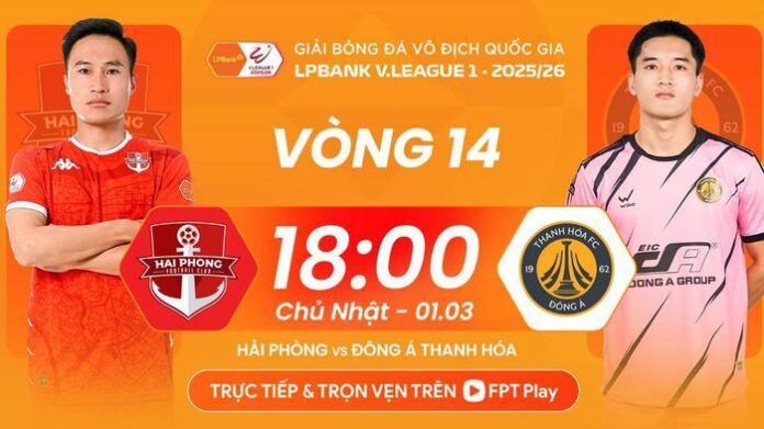 Hải Phòng vs Thanh Hóa: Soi Kèo Trận Đấu Vòng 14 V.League
