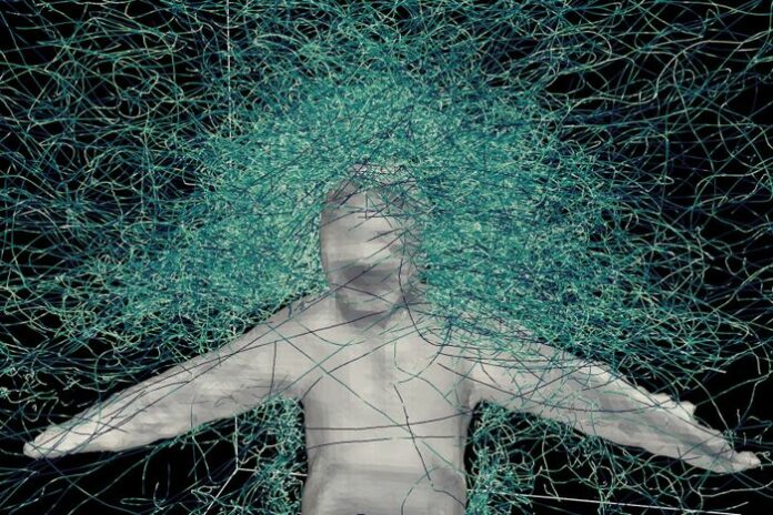 Giải Mã Bí Ẩn Muỗi: Khoa Học Đằng Sau Sự Thu Hút Khó Tin